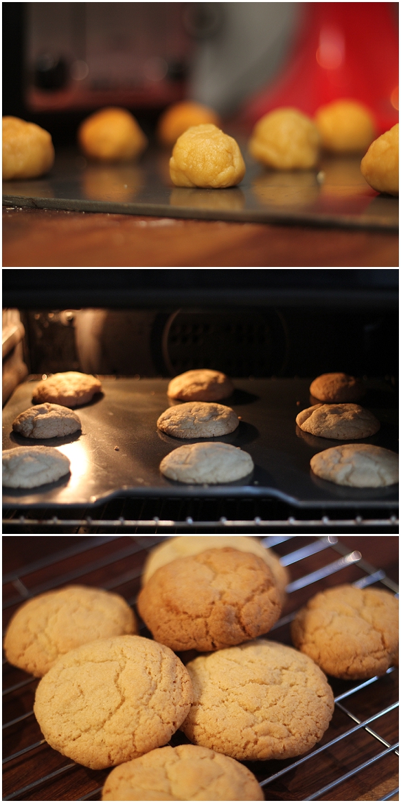 Homemade Ginger Biscuits