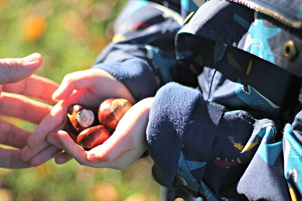 Collecting Conkers 