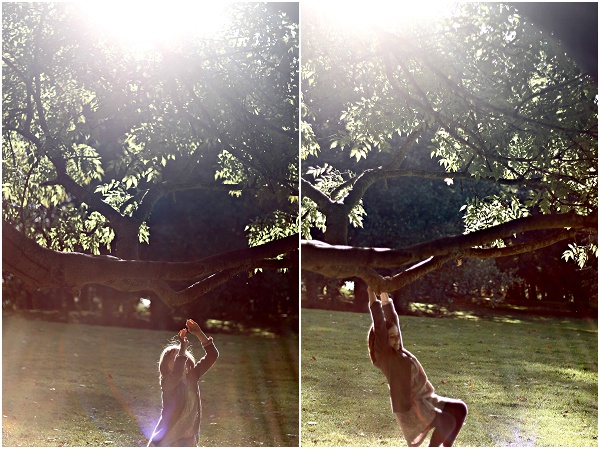 Autumn Light Child Swinging in Tree