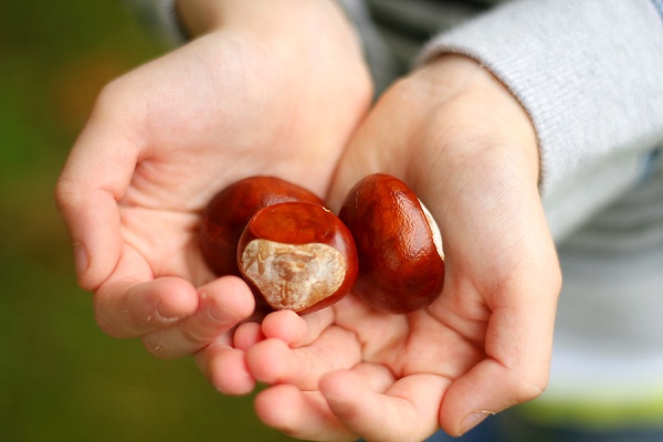 Love Audrey Lifestyle Blog Conkers