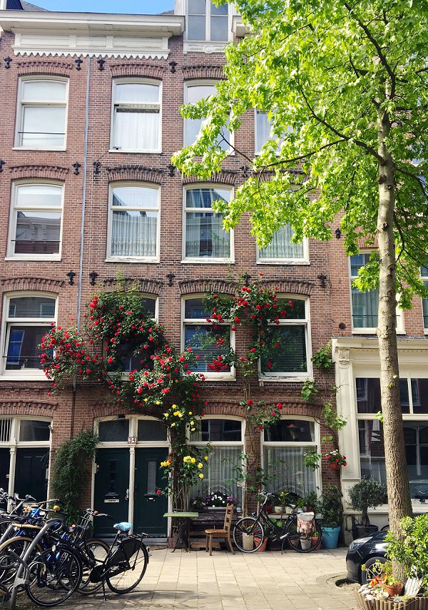 Our Amsterdam Adventure - An Airbnb Disaster and Arriving in Oud-West