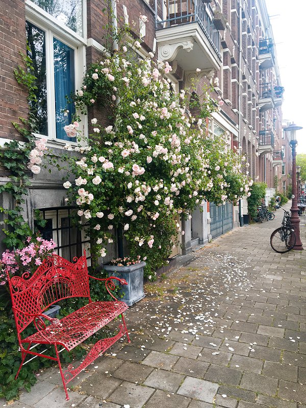 Our Amsterdam Adventure - An Airbnb Disaster and Arriving in Oud-West